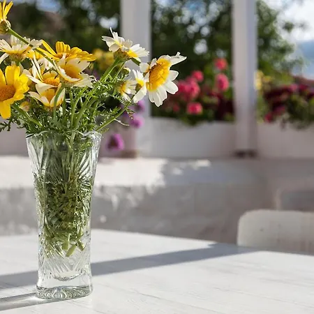 Yukari Sokak Special Category * Alacati